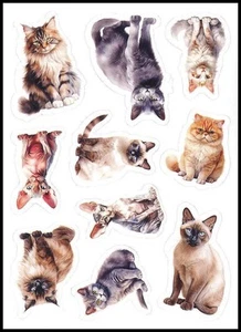 Aufkleber - Katze Kätzchen - jeder Anlass CL152 - Bild 1 von 1