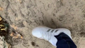 meine fertigen Adidas Sneaker used in Größe 41 für Sammler / Liebhaber - Bild 1 von 9