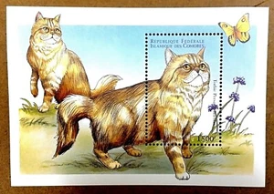 VINTAGE CLASSICS - Comoros 1998 - Tabby Persian Cats - Souvenir Sheet - MNH - Picture 1 of 1