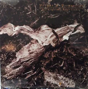David Sylvian - Plight & Premonition    #90904  VG+ - FREE SHIPPING - Picture 1 of 2