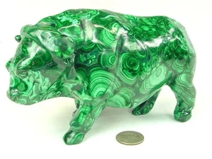 Buttw Intagliato A Mano Zaire Africano 6.8" Malachite Mantello Buffalo Lapidario - Foto 1 di 6