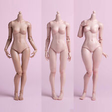 Worldbox 1:6 SUPER Flexible Girl Body 12" Female Figure Suntan & Pale for Phicen