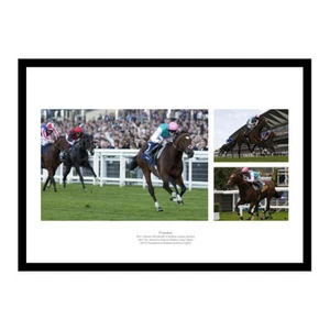 Frankel Montage Horse Racing Legends Photo Memorabilia (FRMU01) - Picture 1 of 1