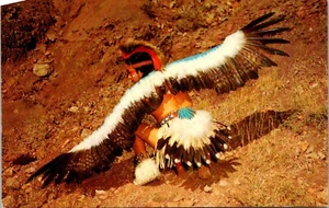 Indian Eagle Dancer Postcard - Picture 1 of 2
