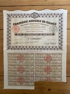 Compagnie Agricole de GUINEE - Bananeraies de FOULAYA (GUINEE) (J) - Imagen 1 de 1