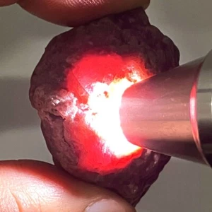 219,83 Ct - Naturale 100% Non Riscaldato Bellissimo Rubino Rosso Grezzo Madagascar - Foto 1 di 5