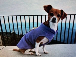 Dogs Fleece Pullover Vest by Gooby, Size Large, Lavender, New, Leash Attachment - Picture 1 of 7