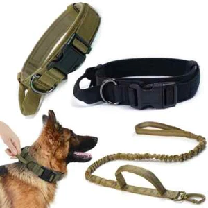 Hundehalsband Robust Verstellbar Militär Haustierhalsband Taktische Leine Set Nylon - Bild 1 von 28