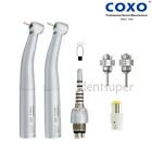 COXO Dental Fiber Optic LED High Speed Handpiece fit for KaVo LED Coupling Bulb