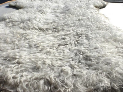 sheepskin leather hide Toscana Light Grey Long Curly Ringlet hair w/Smooth back - Image 1 of 4