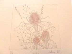 MELISSA ELLIS Teasel SIGNED LIMITED EDITION ART PRINT NUMBERED 154/300 - Picture 1 of 6