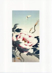 Magnolia y mariposa reproducción japonesa Ohara Koson - Imagen 1 de 1