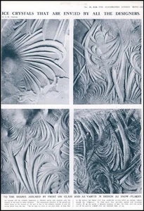 FOTOGRAFÍA 1936 Cristales de hielo Escarcha sobre vidrio Diseño variado (427) - Imagen 1 de 1