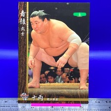 Seiro Takeshi Sumo Wrestler Trading Card BBM 2016 Rikishi TCG Japanese #22