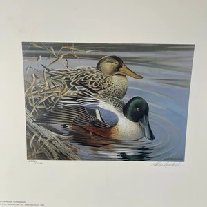 Pennsylvania Waterfowl Management Stamp Print Northern Shoveler Ducks 1993 #2235 - Picture 1 of 5