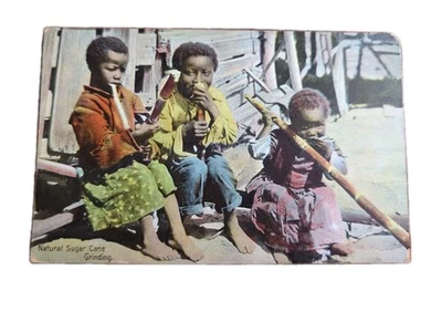Molinillos de caña de azúcar coloreados RPPC postal antigua negra americana 1916 Foto 1 de 3