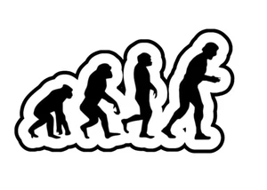 Ric Flair Evolution Retro wrestling Custom Vinyl Die Cut Sticker 3.5x2.5 - Picture 1 of 1