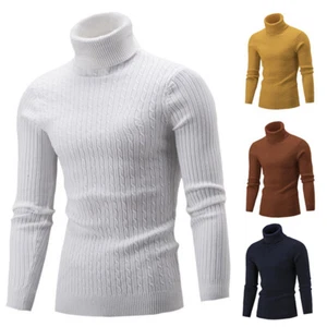Mens Winter Knitted Turtleneck Sweater Long Sleeve Solid Jumper Knitwear Tops - Picture 1 of 20
