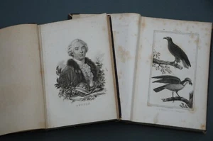 Buffon Atlas Vögel Säugetiere 1820 180 Bretter Vögel und Säugetiere - Bild 1 von 9