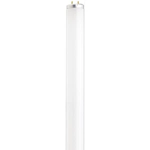 Satco S26567 24" T12 Fluorescent Tube – Warm White, Medium Bi-Pin Base - Picture 1 of 1