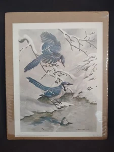Very Hard to Find Basil Ede Blue Jays in Winter Print 1966 7” X 9” - Picture 1 of 6