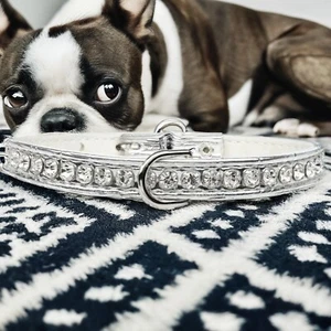 Designer Croc Crystal Dog Collar, Fits Neck 7-9", Made in USA, Retail: $13.98 - Picture 1 of 1