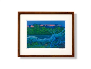 Hiroo Isono Art Long Long River 320x260mm mit Rahmen Druckgrafik Smaragdwald - Bild 1 von 2