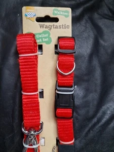 Hundehalsband und Leine verstellbares Halsband Länge 35 cm - 56 cm Führlänge 1 Meter - Bild 1 von 2