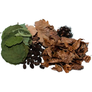 Laubblätter Starterset Naturprodukte 5-teilig Garnelen, Welse, Krebse, Aquarium - Bild 1 von 2