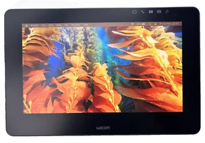 Wacom Cintiq Pro 13" DTH-1320 Touch Display nur Tablet (KEIN Zubehör enthalten - Bild 1 von 6