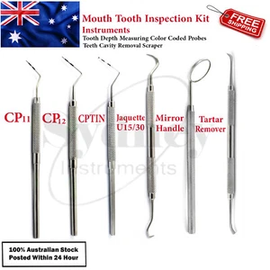 Dental Perio Probes Tooth Pocket Depth Measuring Endo Plaque Tartar Remover Lab - Imagen 1 de 7