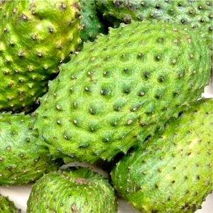 Fresh Soursop fruit Uk seller free delivery - Picture 1 of 1