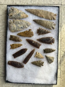 Marco Alto Llanuras Paleo Edén Ágata Cuenca Esquina Tang Pelícano Besant Punta de Flecha - Imagen 1 de 8