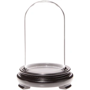 Plymor 2.5" x 4.5" Glass Display Dome Cloche (Black Wood Veneer Footed Base) - Picture 1 of 1