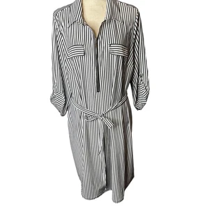 Mlle Gabrielle Striped Shirt Dress with Belt Roll Tab Sleeve Career Casual Chic - Picture 1 of 14
