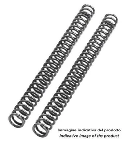 Kit resortes horquilla Lin. K=0.52 KTM 250 XCF-W CHAMPION 10-10 MFX0226 BITUBO - Imagen 1 de 1