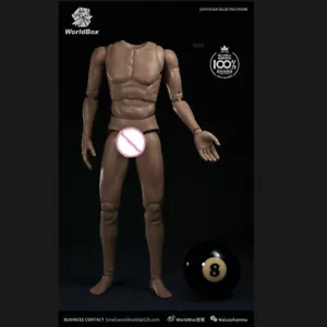 WorldBox AT020 1/6 Karosserie Universal Version für 12" Actionfigur Spielzeug Sammlerstück - Bild 1 von 7