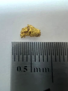 Australian Natural Gold Nugget Specimen Rough - 0.197 grams - Foto 1 di 1