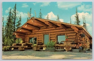 Colorful View of Modern Alaskan Log Cabin Residence Vintage Postcard - Picture 1 of 2