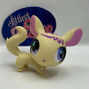 CHINCHILLA #3111 - Littlest Pet Shop - Hasbro LPS - Picture 1 of 4