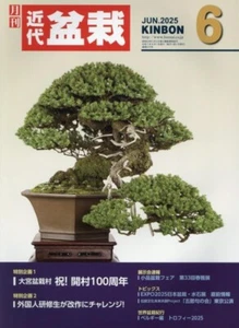 Japanese Bonsai Magazine KINBON 2025.6 Kindai Bonsai - Picture 1 of 1