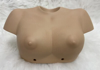 Vintage Bisque Girl Doll Chestplate Shoulders Chest Breast DIY Making Craft — 第 1/4 张图片