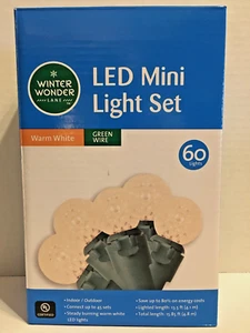 Winter Wonder Lane 60 LED Warm White Faceted Globe Lights Green Wire - Bild 1 von 6