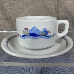 Vintage Garmisch Recreation Area Coffee Cup, Saucer, Ski Lodge, Restaurantware - Picture 1 of 8