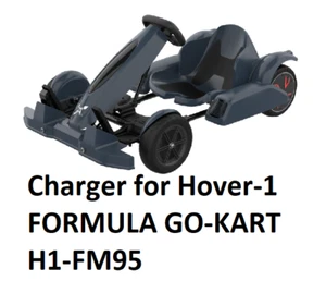 🔥AC Adapter battery charger For X Hover-1 formula go-kart charger - Picture 1 of 2