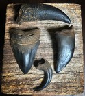 MEGALODON T-REX RAPTOR ALLOSAURUS Tooth Claw Fossil Replicas Museum Quality Prop
