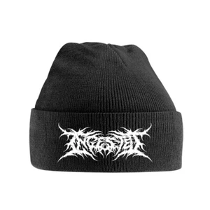Ingested 'Logo' Beanie Hat - NEW - Picture 1 of 1