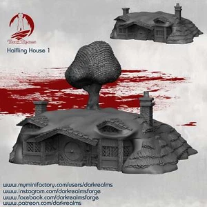 House 1 - DND - Dungeons & Dragons - RPG - Pathfinder - Mesa - TTRPG - Halfl - Imagen 1 de 3