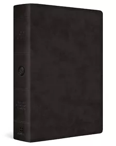 ESV Super Giant Print Bible [BLACK] - Picture 1 of 13