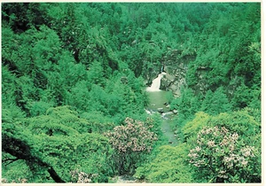 Linville Falls Blue Ridge Parkway Wasserfall Green Mountain NC Vintage Postkarte  - Bild 1 von 2